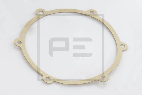 PE AUTOMOTIVE tarpiklis 066.141-00A